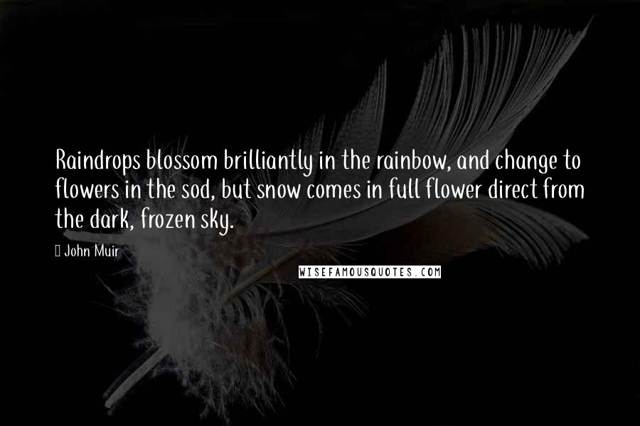 John Muir Quotes: Raindrops blossom brilliantly in the rainbow, and change to flowers in the sod, but snow comes in full flower direct from the dark, frozen sky.