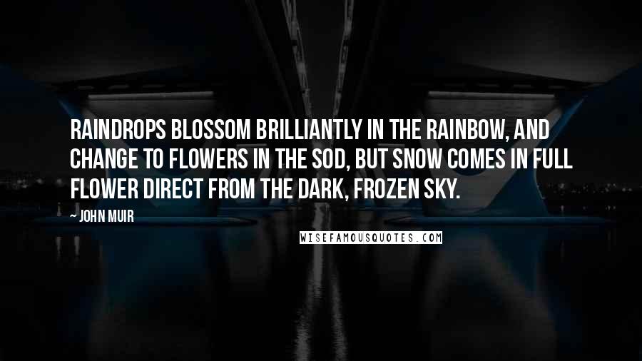 John Muir Quotes: Raindrops blossom brilliantly in the rainbow, and change to flowers in the sod, but snow comes in full flower direct from the dark, frozen sky.