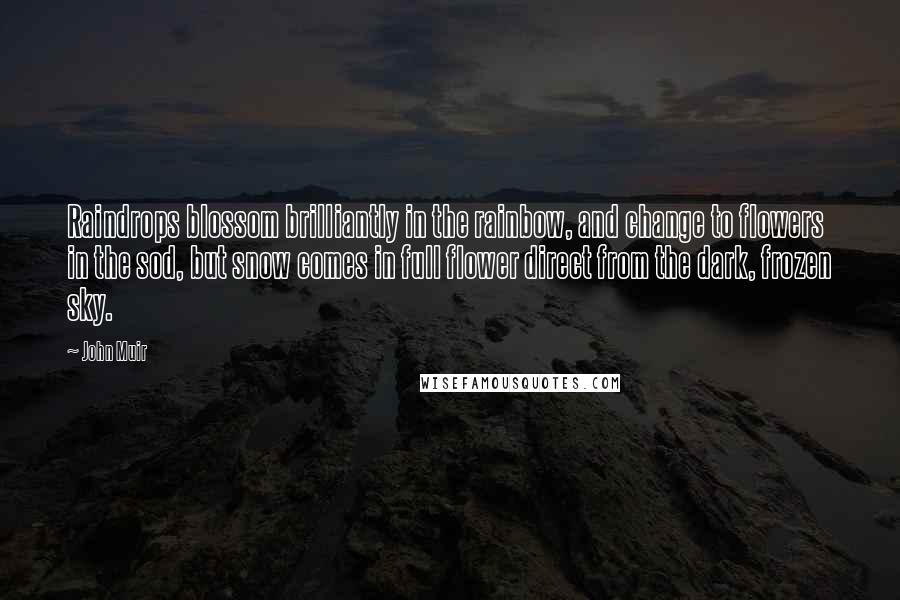 John Muir Quotes: Raindrops blossom brilliantly in the rainbow, and change to flowers in the sod, but snow comes in full flower direct from the dark, frozen sky.