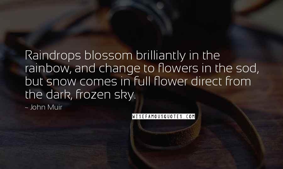 John Muir Quotes: Raindrops blossom brilliantly in the rainbow, and change to flowers in the sod, but snow comes in full flower direct from the dark, frozen sky.