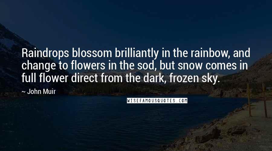 John Muir Quotes: Raindrops blossom brilliantly in the rainbow, and change to flowers in the sod, but snow comes in full flower direct from the dark, frozen sky.