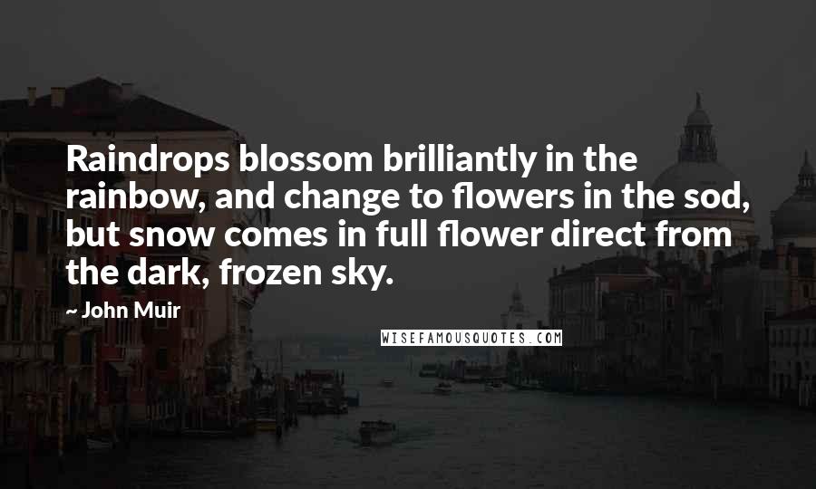 John Muir Quotes: Raindrops blossom brilliantly in the rainbow, and change to flowers in the sod, but snow comes in full flower direct from the dark, frozen sky.