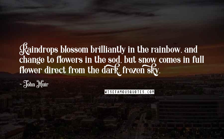 John Muir Quotes: Raindrops blossom brilliantly in the rainbow, and change to flowers in the sod, but snow comes in full flower direct from the dark, frozen sky.