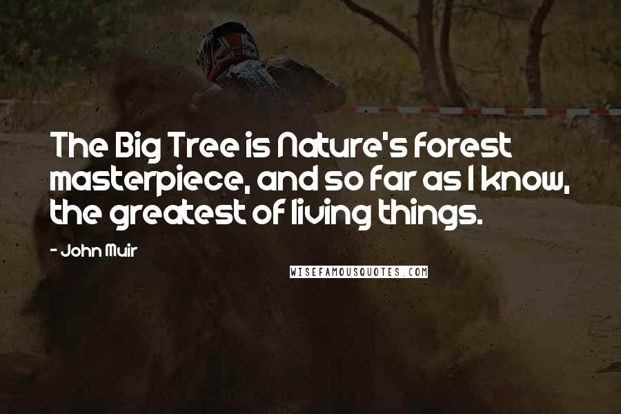 John Muir Quotes: The Big Tree is Nature's forest masterpiece, and so far as I know, the greatest of living things.