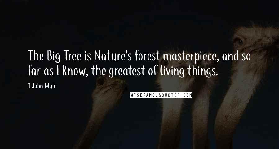 John Muir Quotes: The Big Tree is Nature's forest masterpiece, and so far as I know, the greatest of living things.