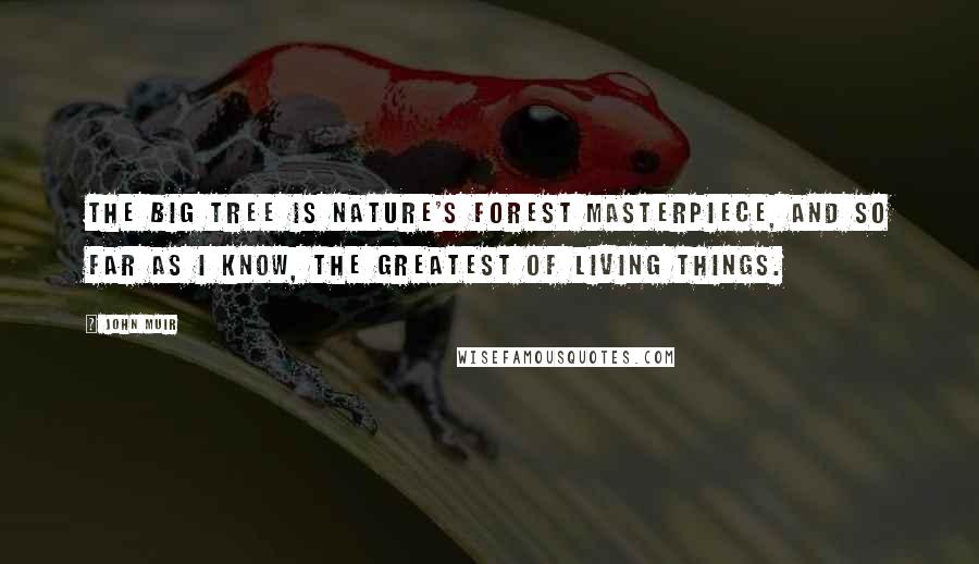 John Muir Quotes: The Big Tree is Nature's forest masterpiece, and so far as I know, the greatest of living things.