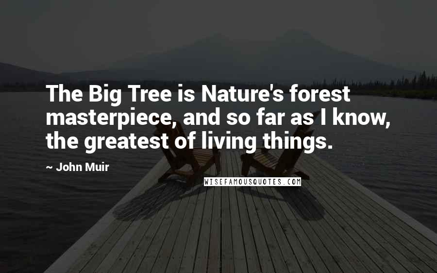 John Muir Quotes: The Big Tree is Nature's forest masterpiece, and so far as I know, the greatest of living things.