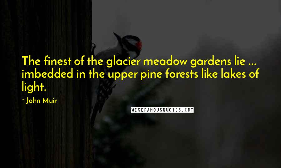 John Muir Quotes: The finest of the glacier meadow gardens lie ... imbedded in the upper pine forests like lakes of light.