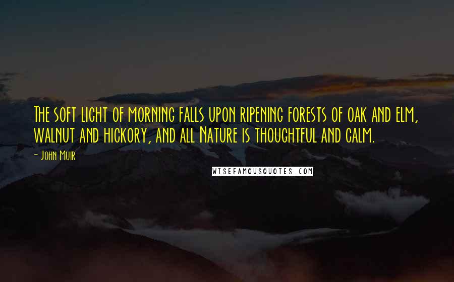 John Muir Quotes: The soft light of morning falls upon ripening forests of oak and elm, walnut and hickory, and all Nature is thoughtful and calm.