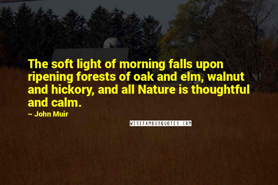 John Muir Quotes: The soft light of morning falls upon ripening forests of oak and elm, walnut and hickory, and all Nature is thoughtful and calm.