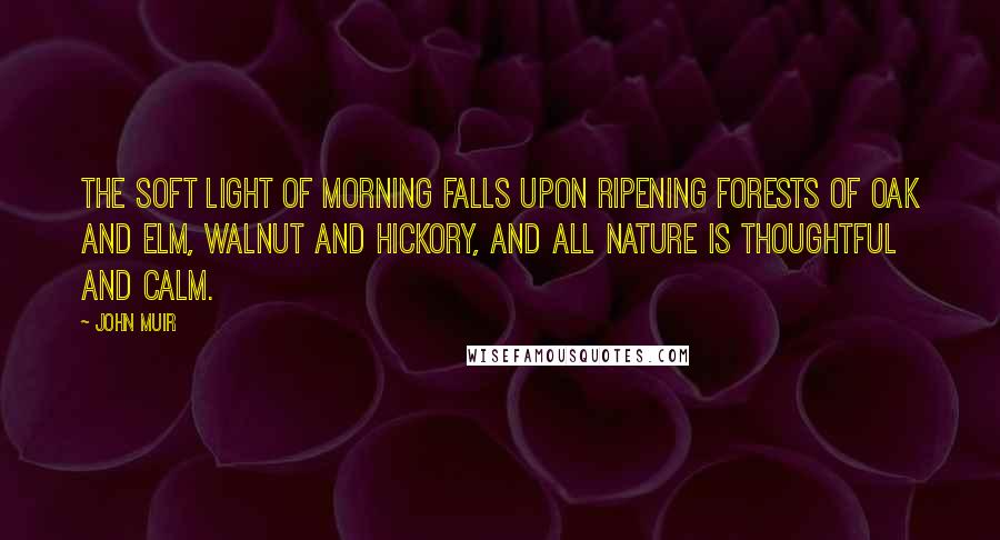 John Muir Quotes: The soft light of morning falls upon ripening forests of oak and elm, walnut and hickory, and all Nature is thoughtful and calm.