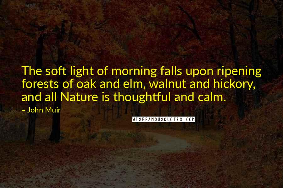 John Muir Quotes: The soft light of morning falls upon ripening forests of oak and elm, walnut and hickory, and all Nature is thoughtful and calm.