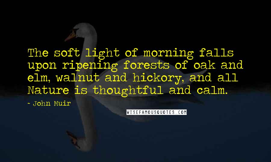 John Muir Quotes: The soft light of morning falls upon ripening forests of oak and elm, walnut and hickory, and all Nature is thoughtful and calm.