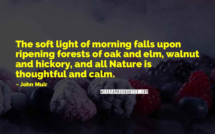 John Muir Quotes: The soft light of morning falls upon ripening forests of oak and elm, walnut and hickory, and all Nature is thoughtful and calm.