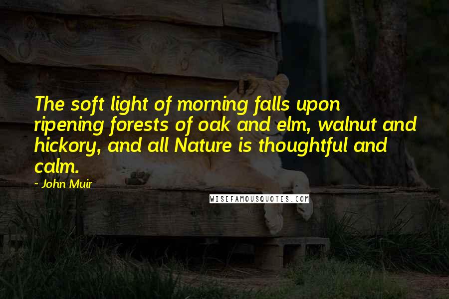 John Muir Quotes: The soft light of morning falls upon ripening forests of oak and elm, walnut and hickory, and all Nature is thoughtful and calm.