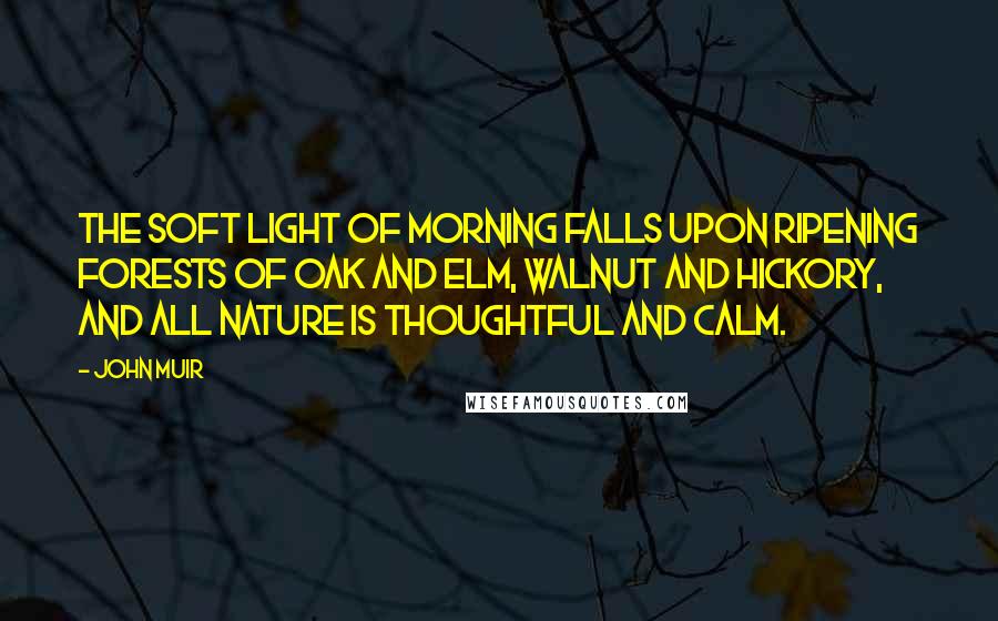 John Muir Quotes: The soft light of morning falls upon ripening forests of oak and elm, walnut and hickory, and all Nature is thoughtful and calm.