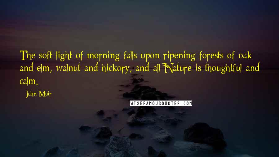 John Muir Quotes: The soft light of morning falls upon ripening forests of oak and elm, walnut and hickory, and all Nature is thoughtful and calm.