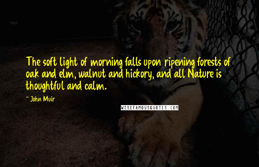 John Muir Quotes: The soft light of morning falls upon ripening forests of oak and elm, walnut and hickory, and all Nature is thoughtful and calm.