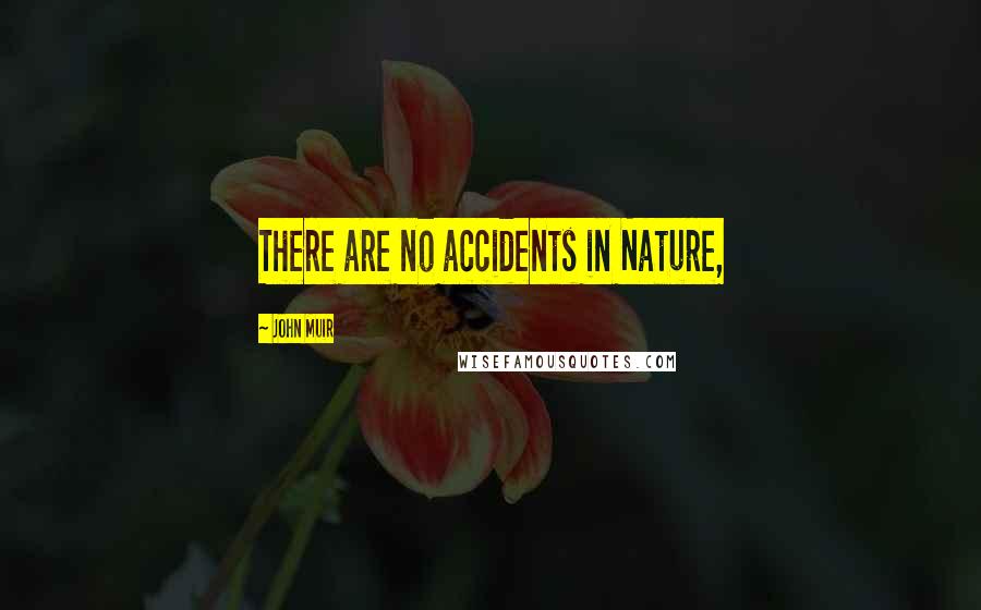 John Muir Quotes: There are no accidents in Nature,