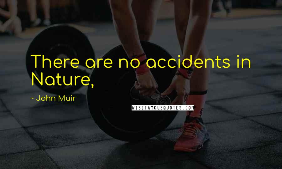 John Muir Quotes: There are no accidents in Nature,