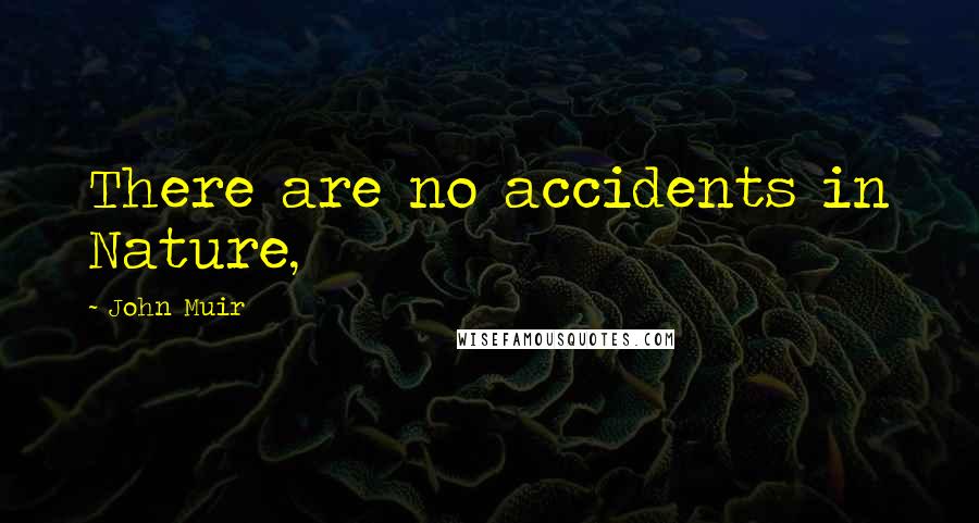 John Muir Quotes: There are no accidents in Nature,