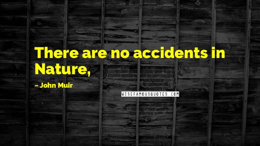 John Muir Quotes: There are no accidents in Nature,