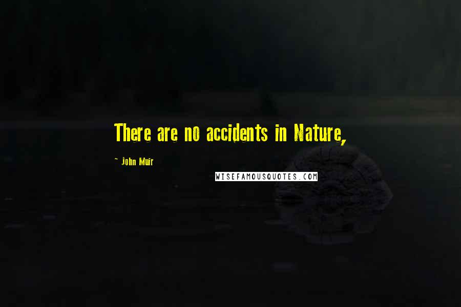 John Muir Quotes: There are no accidents in Nature,