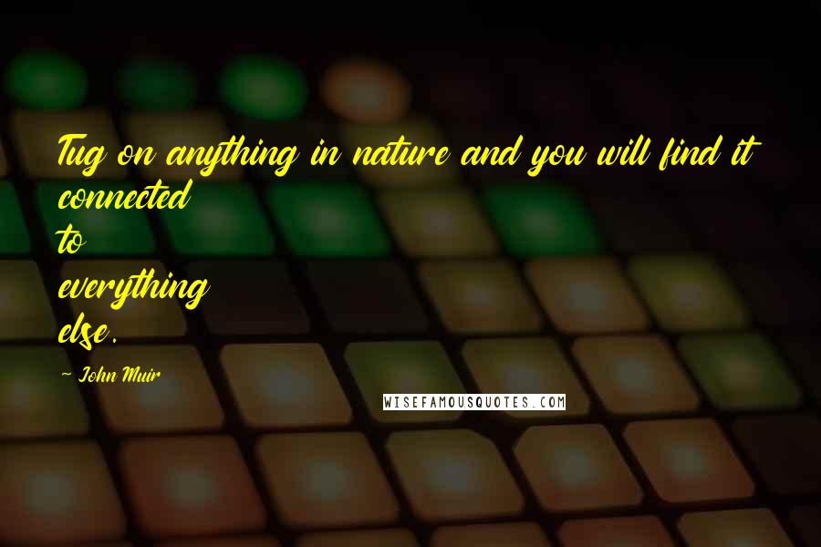 John Muir Quotes: Tug on anything in nature and you will find it connected to everything else.