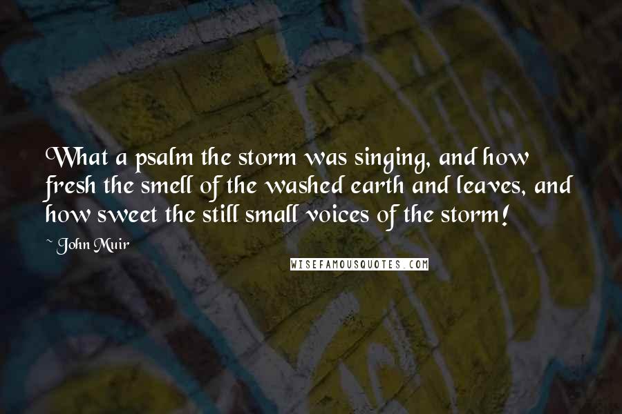 John Muir Quotes: What a psalm the storm was singing, and how fresh the smell of the washed earth and leaves, and how sweet the still small voices of the storm!