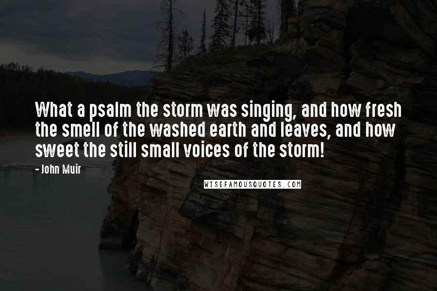 John Muir Quotes: What a psalm the storm was singing, and how fresh the smell of the washed earth and leaves, and how sweet the still small voices of the storm!