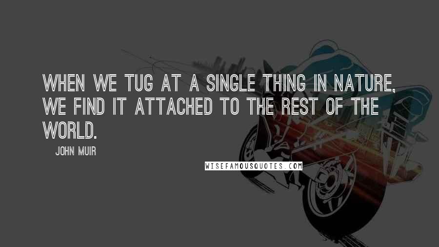 John Muir Quotes: When we tug at a single thing in nature, we find it attached to the rest of the world.