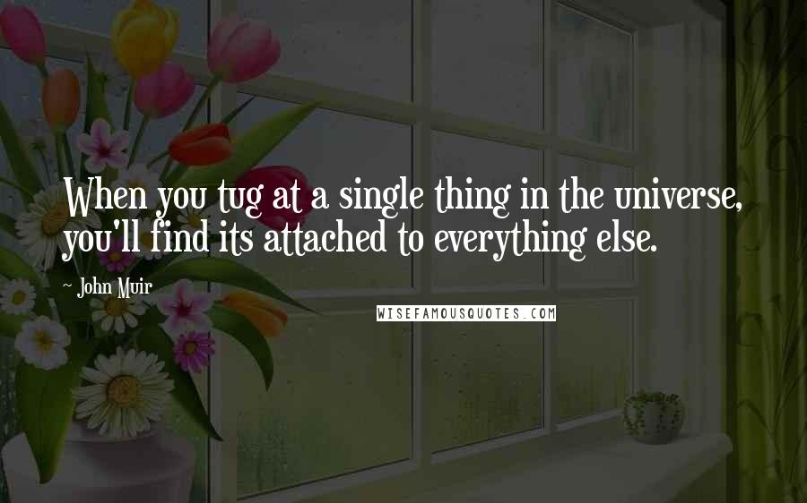 John Muir Quotes: When you tug at a single thing in the universe, you'll find its attached to everything else.