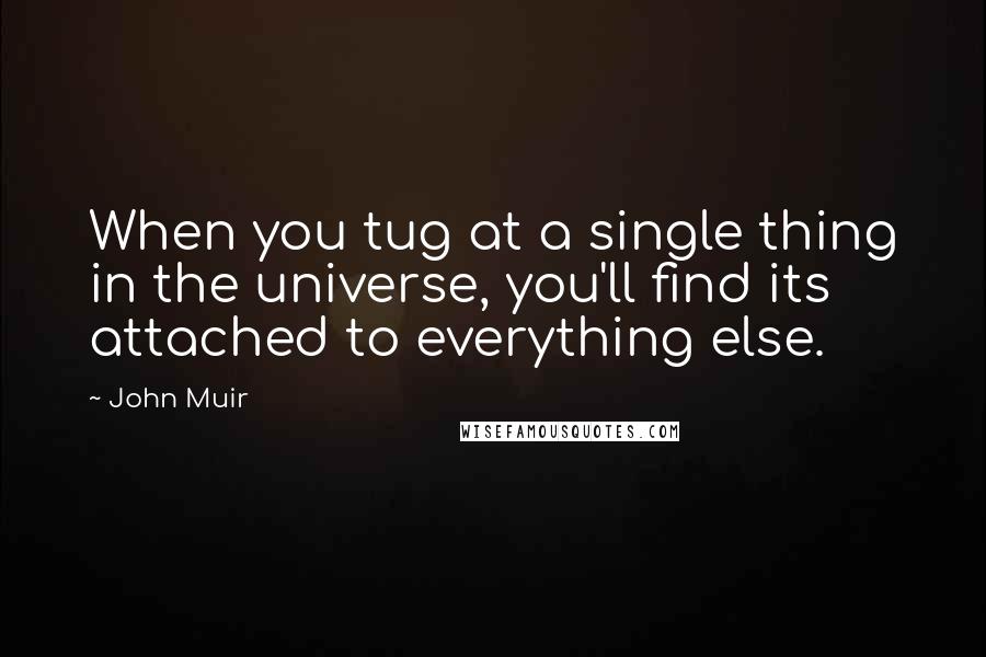 John Muir Quotes: When you tug at a single thing in the universe, you'll find its attached to everything else.