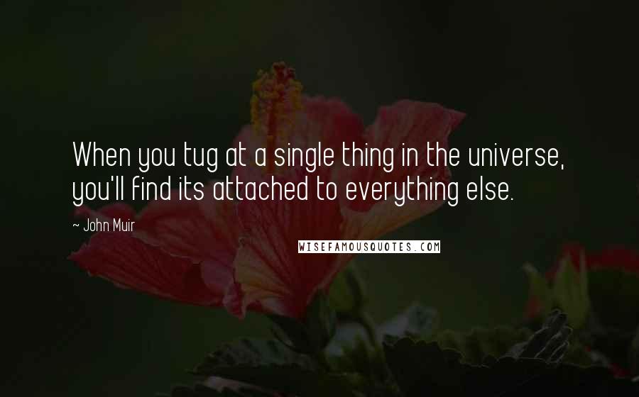 John Muir Quotes: When you tug at a single thing in the universe, you'll find its attached to everything else.