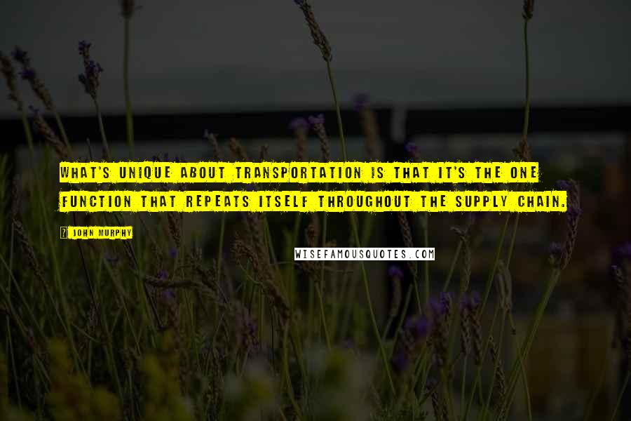 John Murphy Quotes: What's unique about transportation is that it's the one function that repeats itself throughout the supply chain.