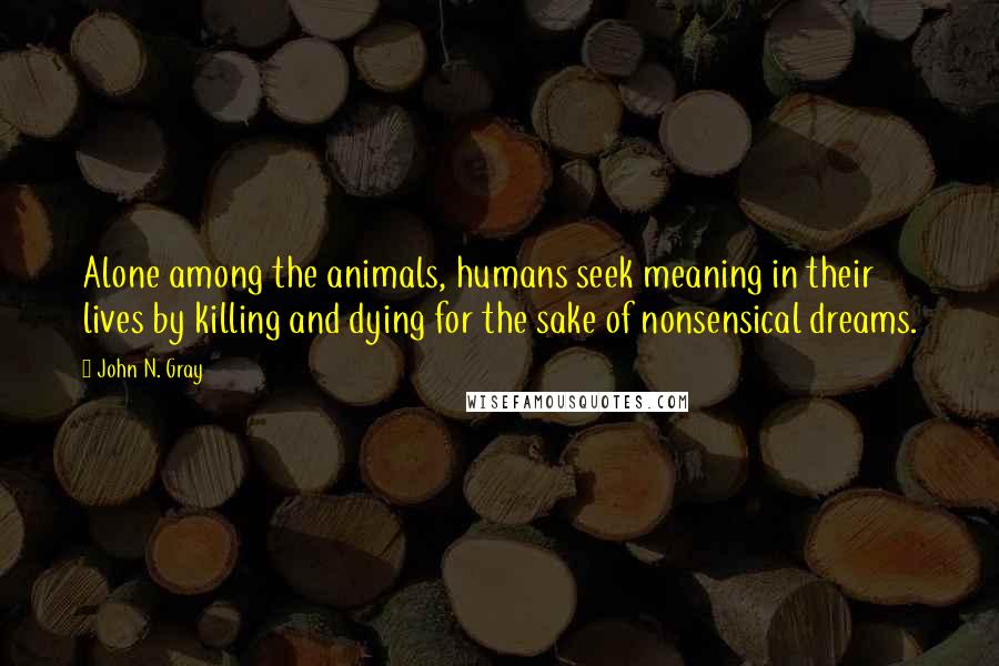 John N. Gray Quotes: Alone among the animals, humans seek meaning in their lives by killing and dying for the sake of nonsensical dreams.