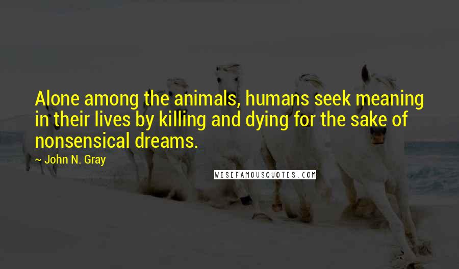 John N. Gray Quotes: Alone among the animals, humans seek meaning in their lives by killing and dying for the sake of nonsensical dreams.