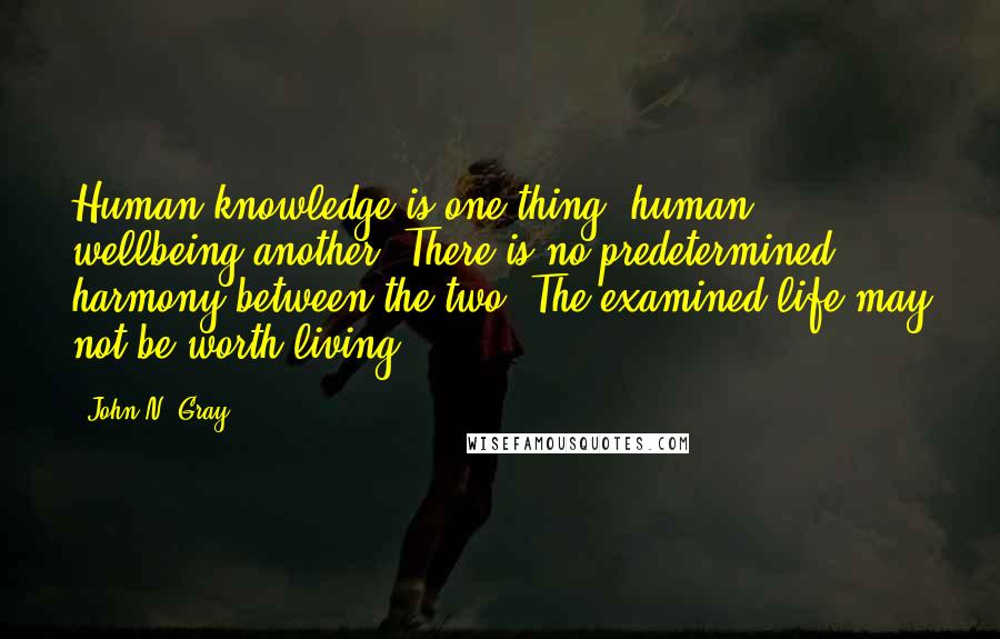 John N. Gray Quotes: Human knowledge is one thing, human wellbeing another. There is no predetermined harmony between the two. The examined life may not be worth living.