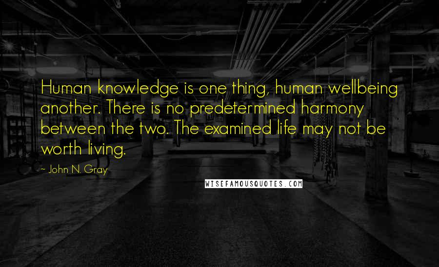 John N. Gray Quotes: Human knowledge is one thing, human wellbeing another. There is no predetermined harmony between the two. The examined life may not be worth living.