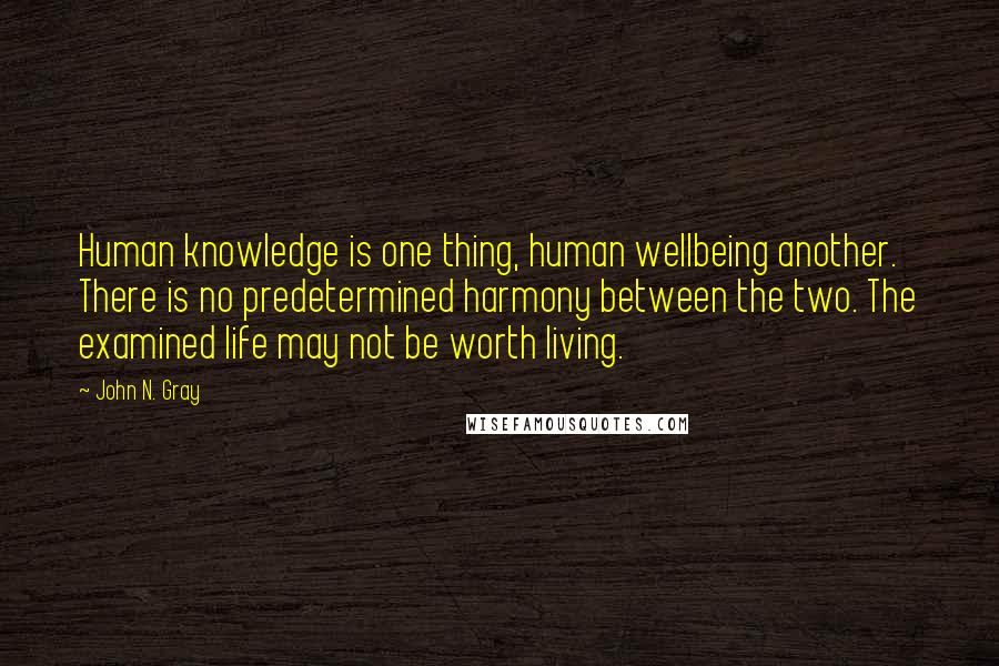 John N. Gray Quotes: Human knowledge is one thing, human wellbeing another. There is no predetermined harmony between the two. The examined life may not be worth living.
