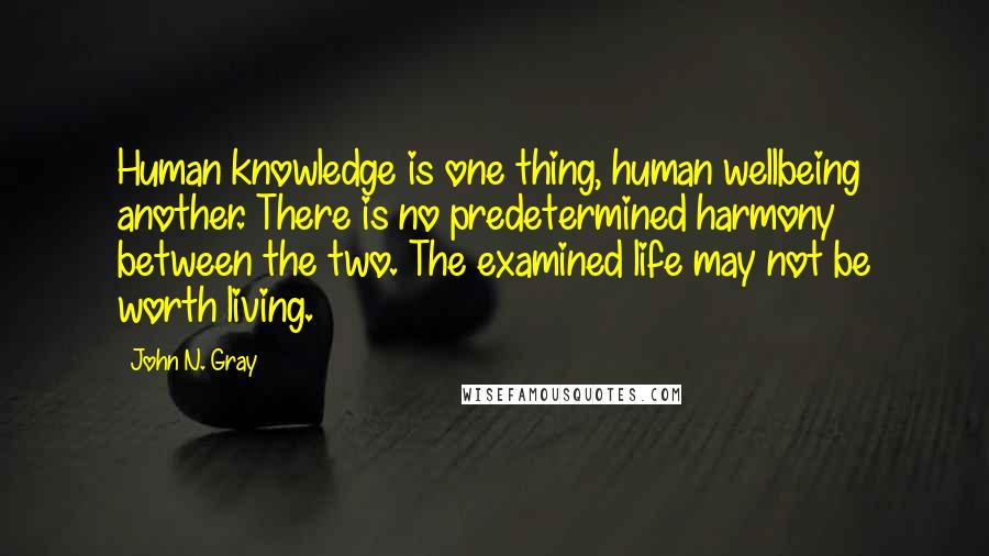 John N. Gray Quotes: Human knowledge is one thing, human wellbeing another. There is no predetermined harmony between the two. The examined life may not be worth living.