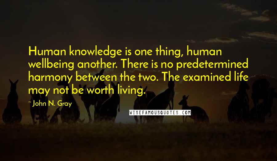 John N. Gray Quotes: Human knowledge is one thing, human wellbeing another. There is no predetermined harmony between the two. The examined life may not be worth living.