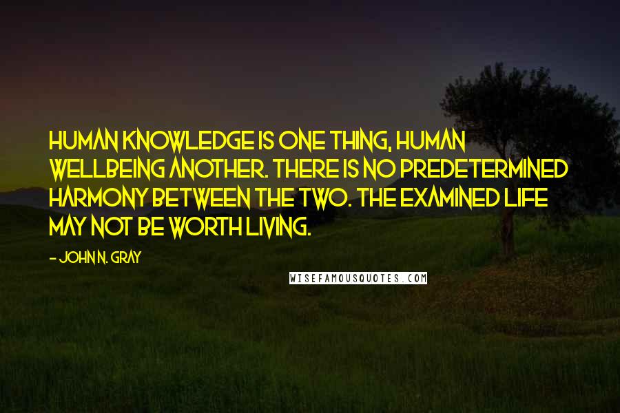 John N. Gray Quotes: Human knowledge is one thing, human wellbeing another. There is no predetermined harmony between the two. The examined life may not be worth living.