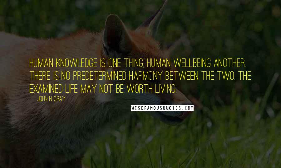John N. Gray Quotes: Human knowledge is one thing, human wellbeing another. There is no predetermined harmony between the two. The examined life may not be worth living.