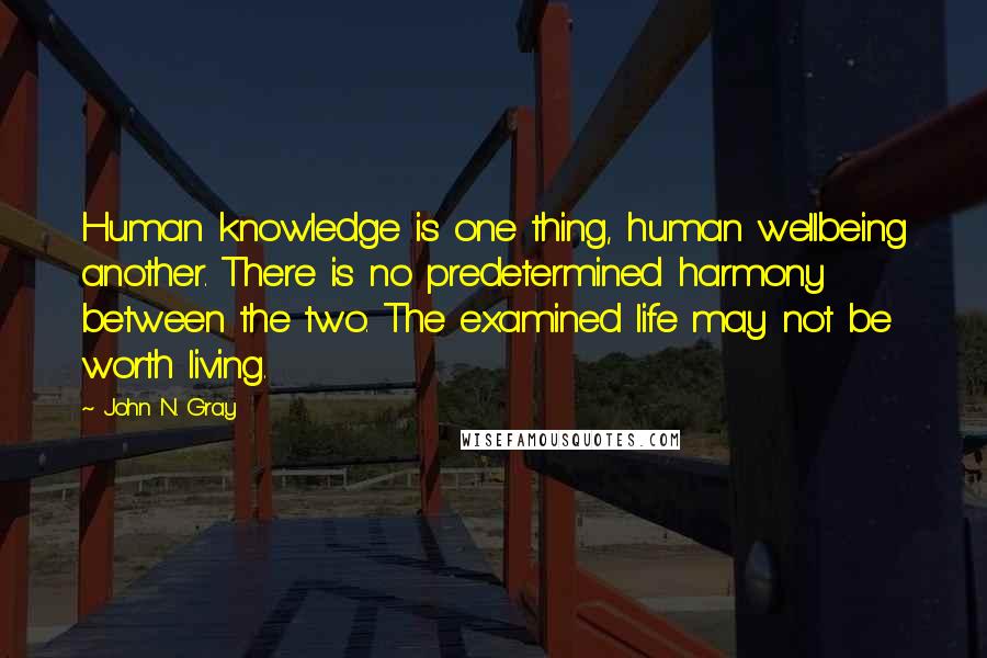 John N. Gray Quotes: Human knowledge is one thing, human wellbeing another. There is no predetermined harmony between the two. The examined life may not be worth living.