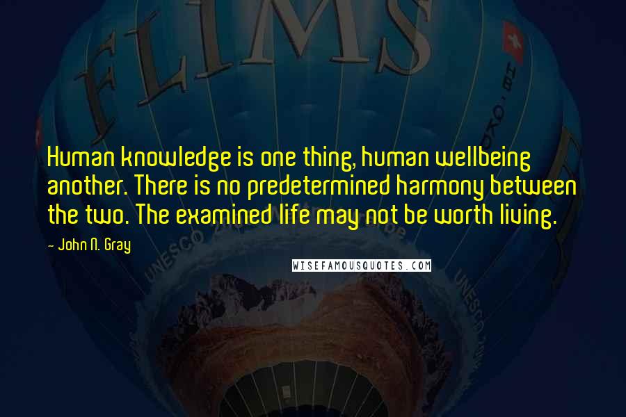 John N. Gray Quotes: Human knowledge is one thing, human wellbeing another. There is no predetermined harmony between the two. The examined life may not be worth living.