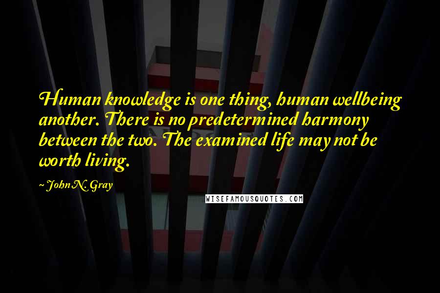 John N. Gray Quotes: Human knowledge is one thing, human wellbeing another. There is no predetermined harmony between the two. The examined life may not be worth living.