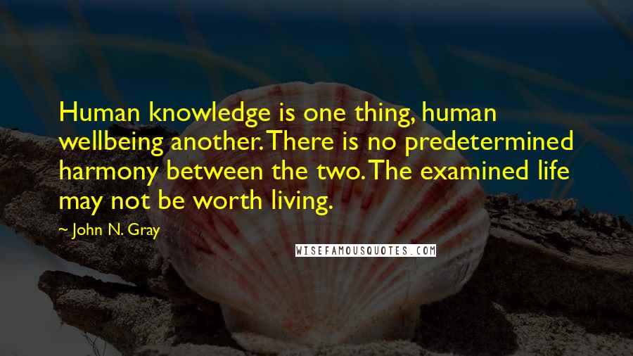 John N. Gray Quotes: Human knowledge is one thing, human wellbeing another. There is no predetermined harmony between the two. The examined life may not be worth living.