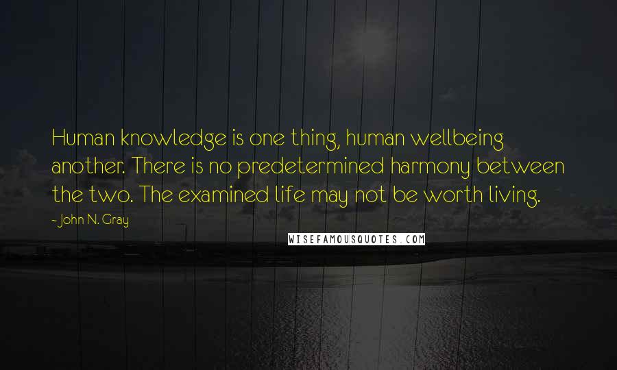 John N. Gray Quotes: Human knowledge is one thing, human wellbeing another. There is no predetermined harmony between the two. The examined life may not be worth living.