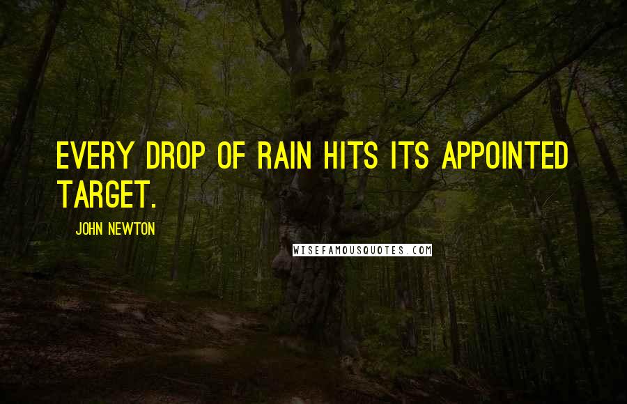 John Newton Quotes: Every drop of rain hits its appointed target.